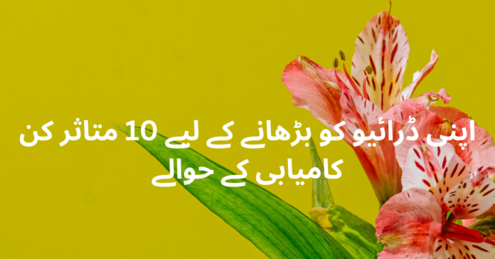 اپنی ڈرائیو کو بڑھانے کے لیے 10 متاثر کن کامیابی کے حوالے